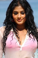Priyamani Hot Pics